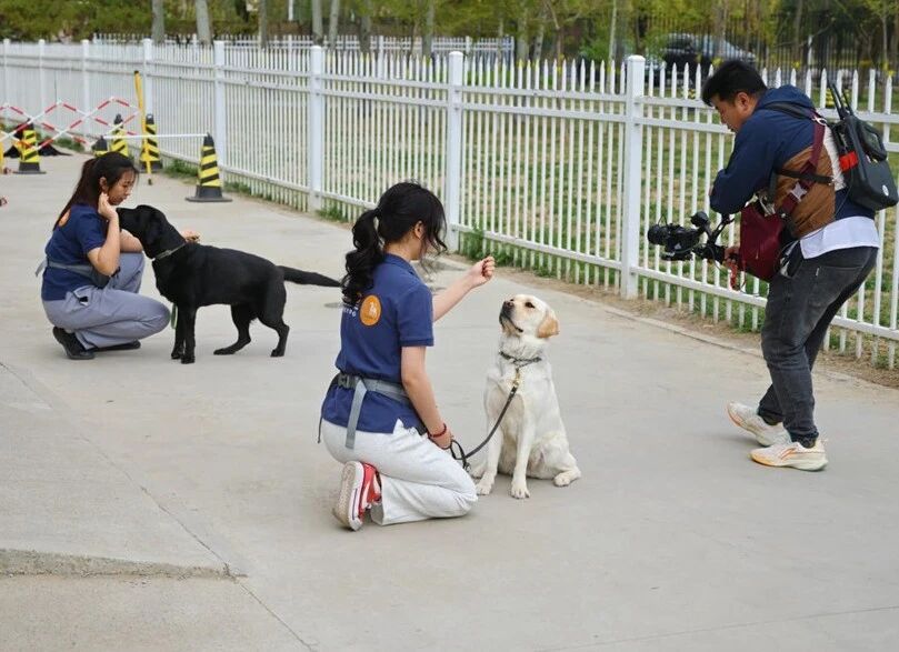 北京高校助力推进教育科技人才一体发展特别报道|美加墨世界杯官方网站④:图说美加墨世界杯官方网站 北京高校助力推进教育科技人才一体发展特别报道|美加墨世界杯官方网站④:图说美加墨世界杯官方网站