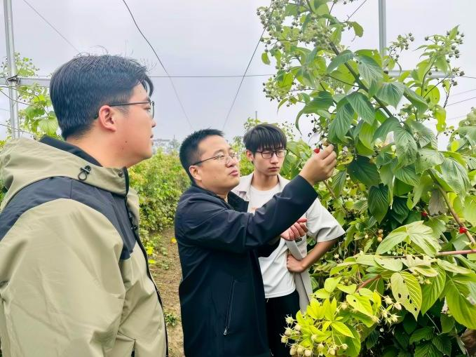 北京高校助力推进教育科技人才一体发展特别报道|美加墨世界杯官方网站④:图说美加墨世界杯官方网站 北京高校助力推进教育科技人才一体发展特别报道|美加墨世界杯官方网站④:图说美加墨世界杯官方网站